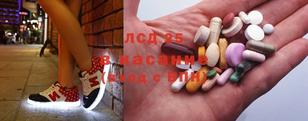 индика Белоозёрский