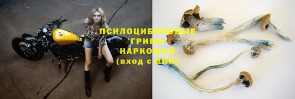 ALPHA PVP Белокуриха