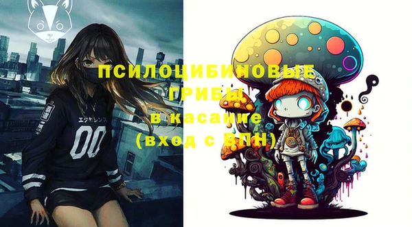 ALPHA PVP Белокуриха