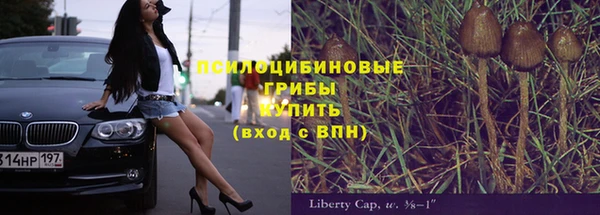 ALPHA PVP Белокуриха