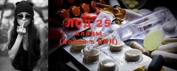 индика Белоозёрский