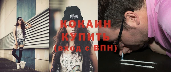 индика Белоозёрский