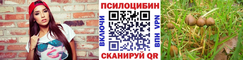Галлюциногенные грибы мухоморы  купить   Гаврилов-Ям 
